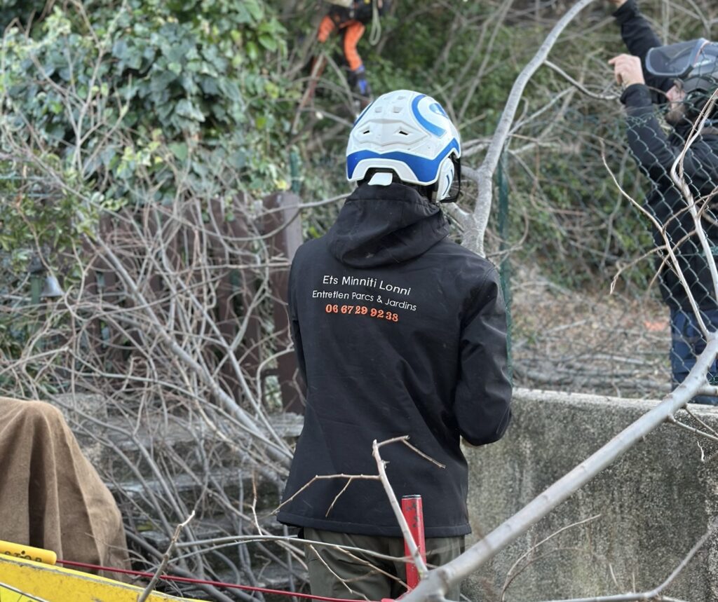 Engagements paysagiste Var - élagage en hauteur avec équipement de sécurité - Minniti Espaces Verts